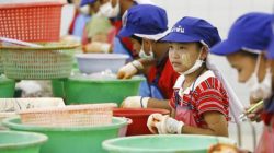 Bimbi schiavi in Thailandia, sotto accusa la Nestlé