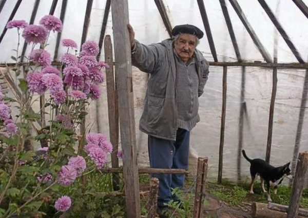 Josè Alberto Mujica Cordano - El Pepe