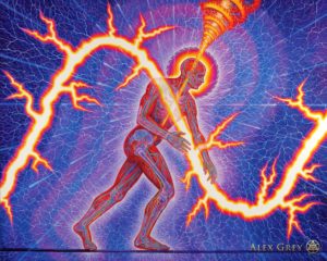 Alex Grey - Lightworker