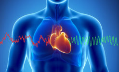 HeartMath: la scienza del Cuore