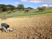 Lasciano la città per la lenta vita di campagna: la storia di Marco e Sara