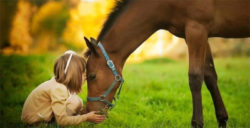 cavallo con bambina