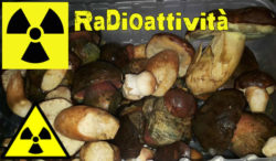 funghi radioattivi del Piemonte