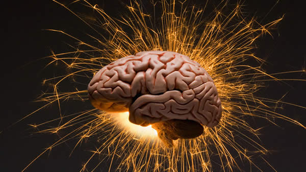 Il cervello e gli schemi mentali