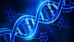 Mutazioni DNA