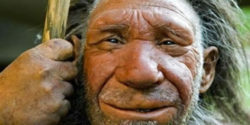 Homo di Neanderthal