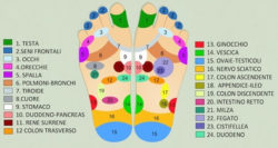 Riflessologia plantare