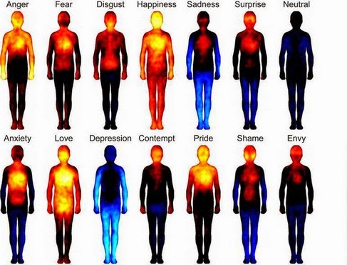 Ogni emozione influisce sull'organismo determinandone lo stato di salute