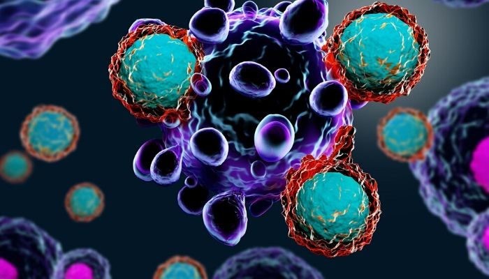 Risultato immagini per cellula T uccide tumori